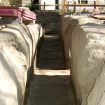 greenconcepts20110202047