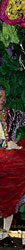 mardi gras feather costume photo