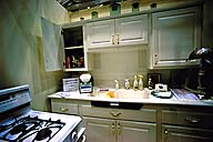 kitchen counter with envirosink